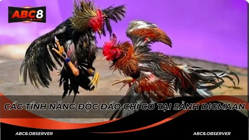 Các tính năng độc đáo chỉ có tại sảnh digmaan