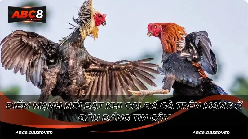 Điểm mạnh nổi bật khi coi đá gà trên mạng ở đâu đáng tin cậy