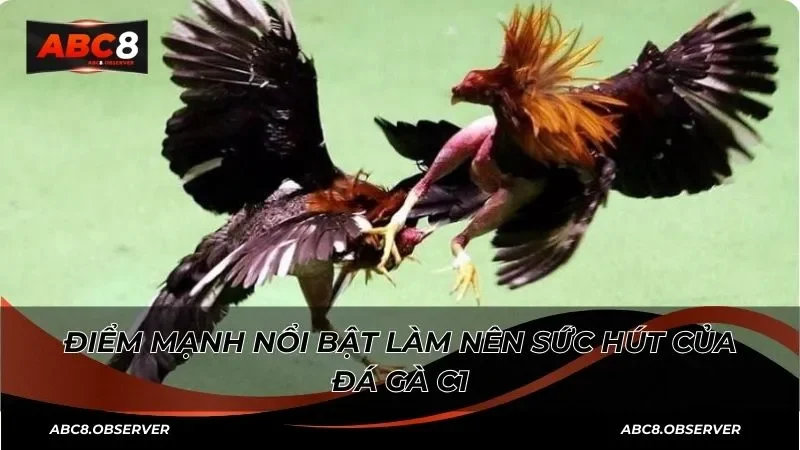 Điểm mạnh nổi bật làm nên sức hút của đá gà C1