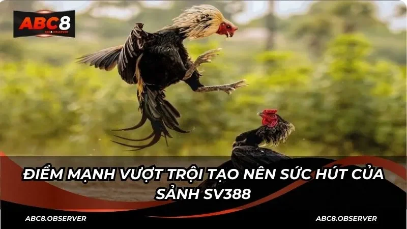 Điểm mạnh vượt trội tạo nên sức hút của sảnh SV388