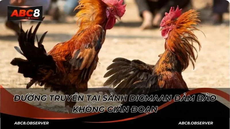 Đường truyền tại sảnh Digmaan đảm bảo không gián đoạn