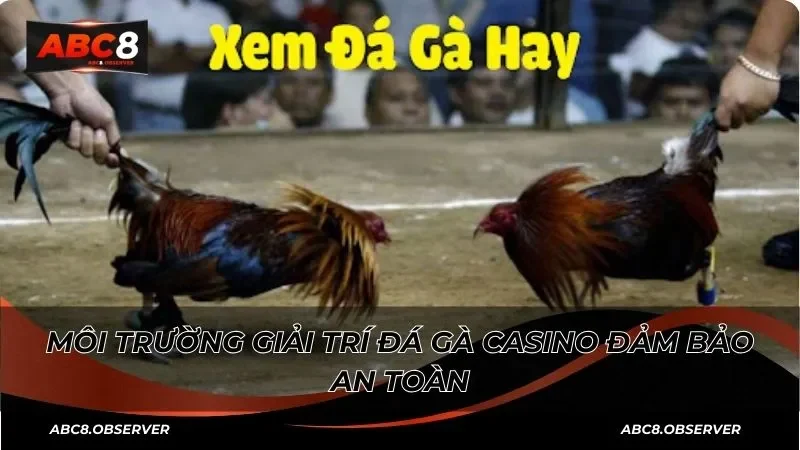 Môi trường giải trí đá gà casino đảm bảo an toàn