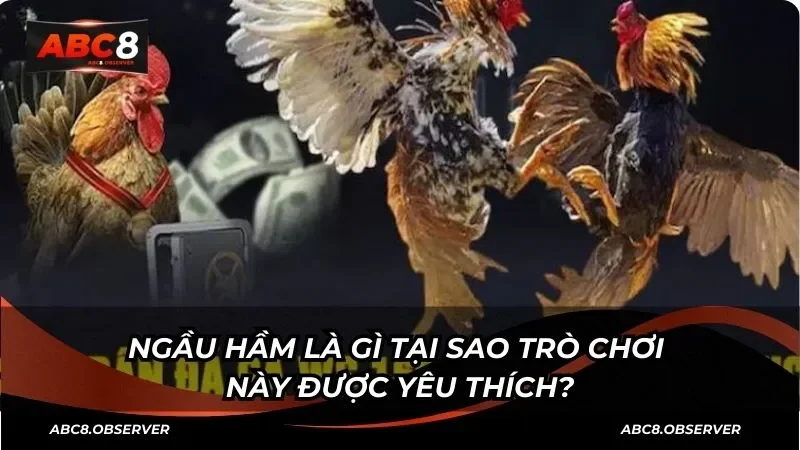 Sảnh Ws168 và sức hấp dẫn của bộ môn đá gà trực tuyến