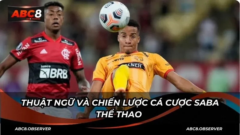 Thuật ngữ và chiến lược cá cược Saba thể thao