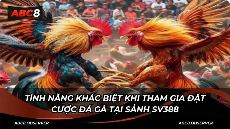 Tính năng khác biệt khi tham gia đặt cược đá gà tại sảnh SV388