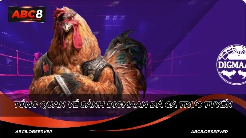Tổng quan về sảnh digmaan đá gà trực tuyến